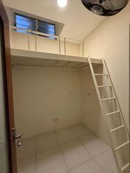 Mount Rosie Road (D11), Terrace #613437151